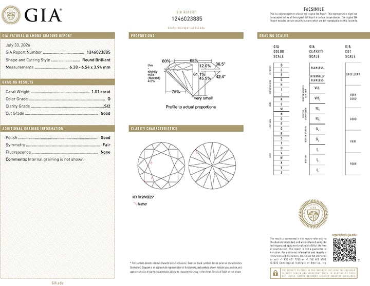 The Rare One — Gia Certified 1.01 Ct D Color Natural Diamond Pendant In 18K White Gold 5 The Rare One — Gia Certified 1.01 Ct D Color Natural Diamond Pendant In 18K White Gold - Image 5